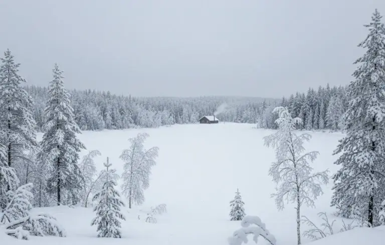 Thompson Plunges into Deep Freeze as New Year Approaches