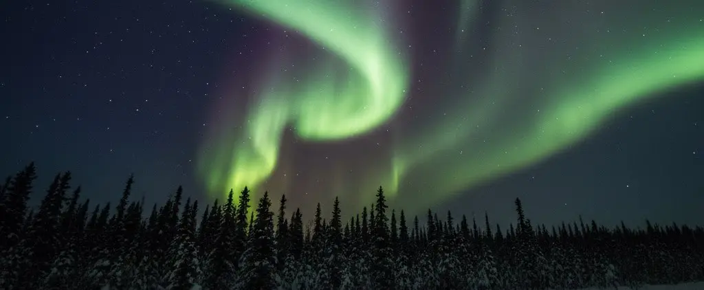 Sky Watchers Alert: Thompson Poised for Spectacular Northern Lights Displays