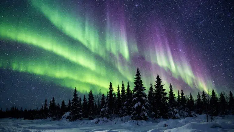 ttn-northern-lights-aurora-thompson-header