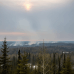 Fire Bulletin #50: Arson Strains Manitoba’s Wildfire Response as State of Emergency Continues