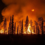 Fire Bulletin #51: Manitoba Wildfires Hold Steady as Burn Permits Remain Suspended