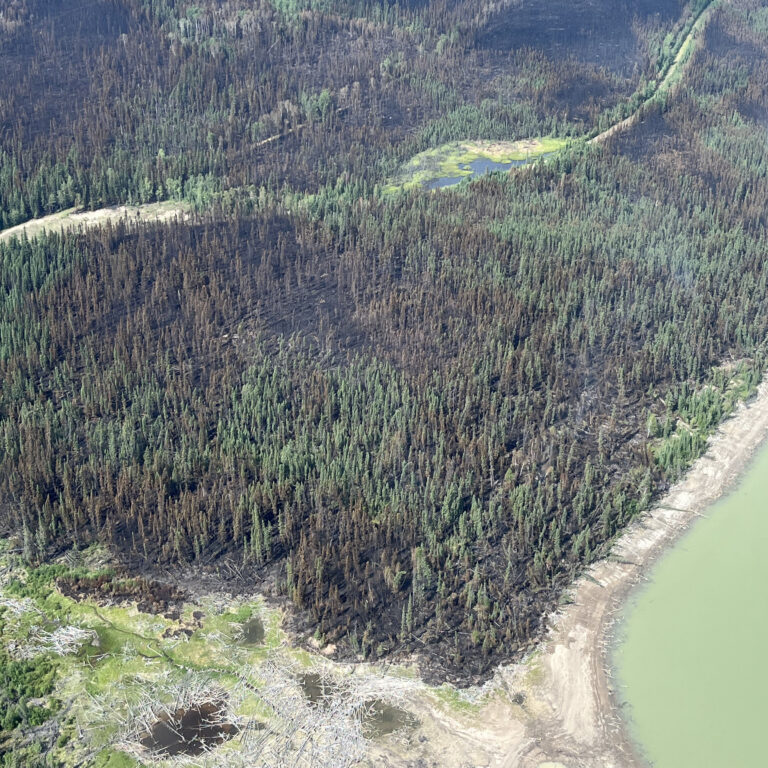 Wildfire Crews Make Steady Progress Near Thompson as International Support Arrives