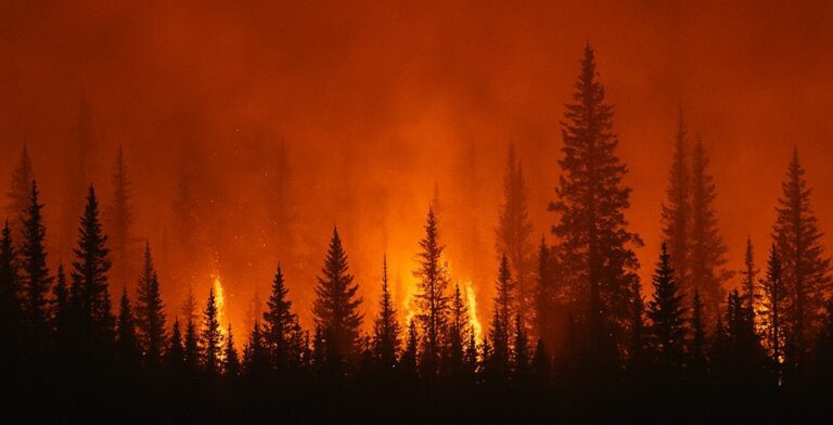 Manitoba Wildfires: Total Active Fires Reach 130, Out-of-Control Blazes Decrease in Full Response Efforts