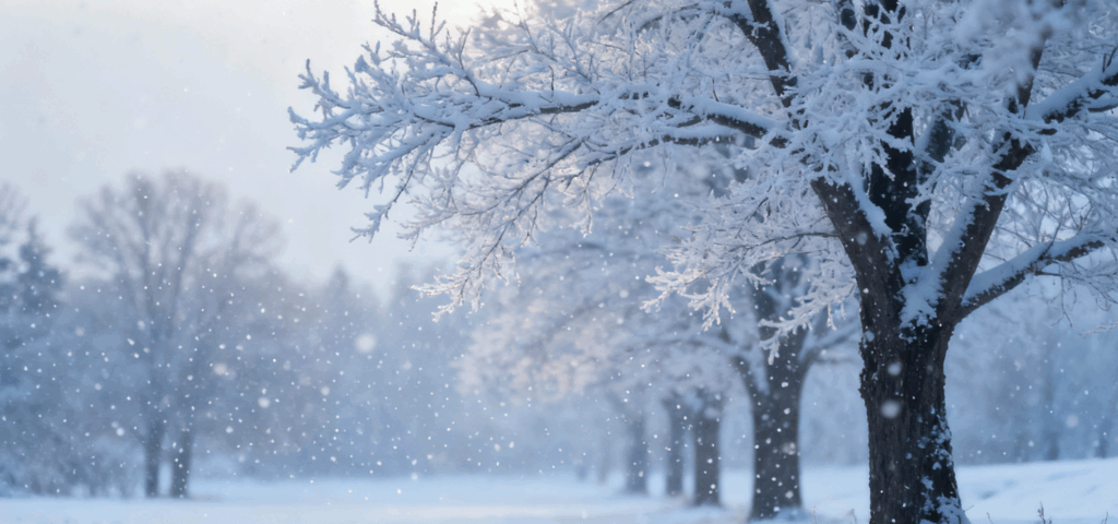 Thompson Under Special Weather Statement: 10–25 cm of Snow Expected This Weekend